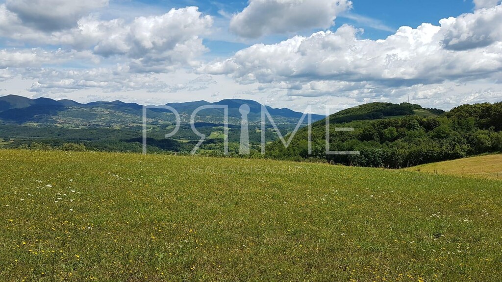 Image 6228585 - 1
