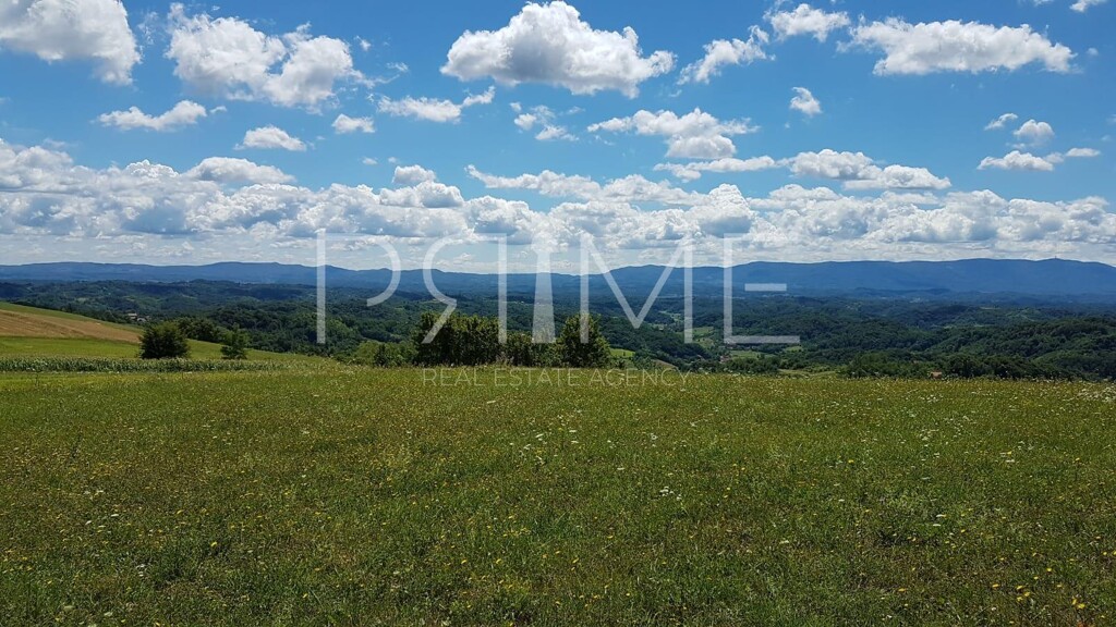 Image 6228585 - 3