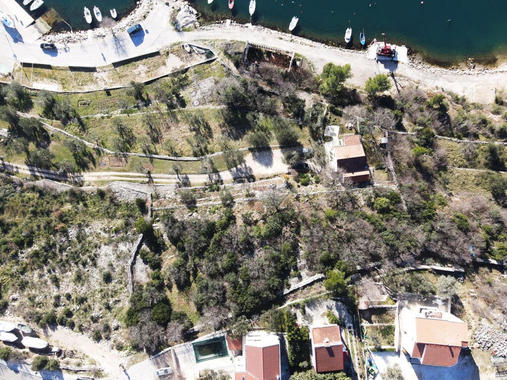 Image 6228587 - 6