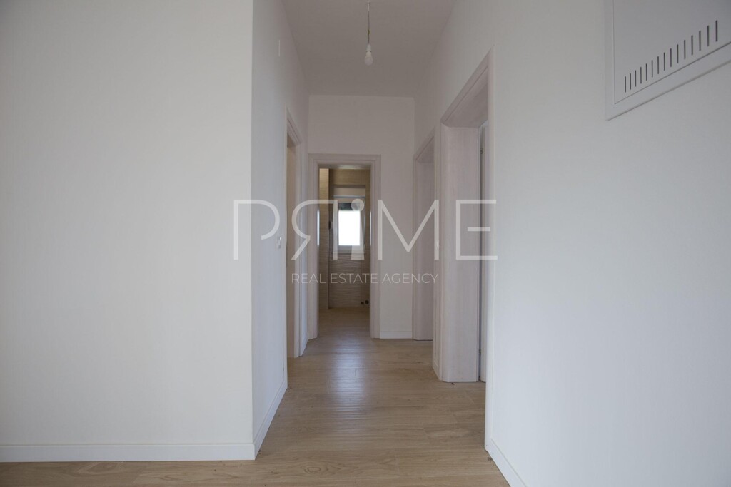 Image 6228613 - 11