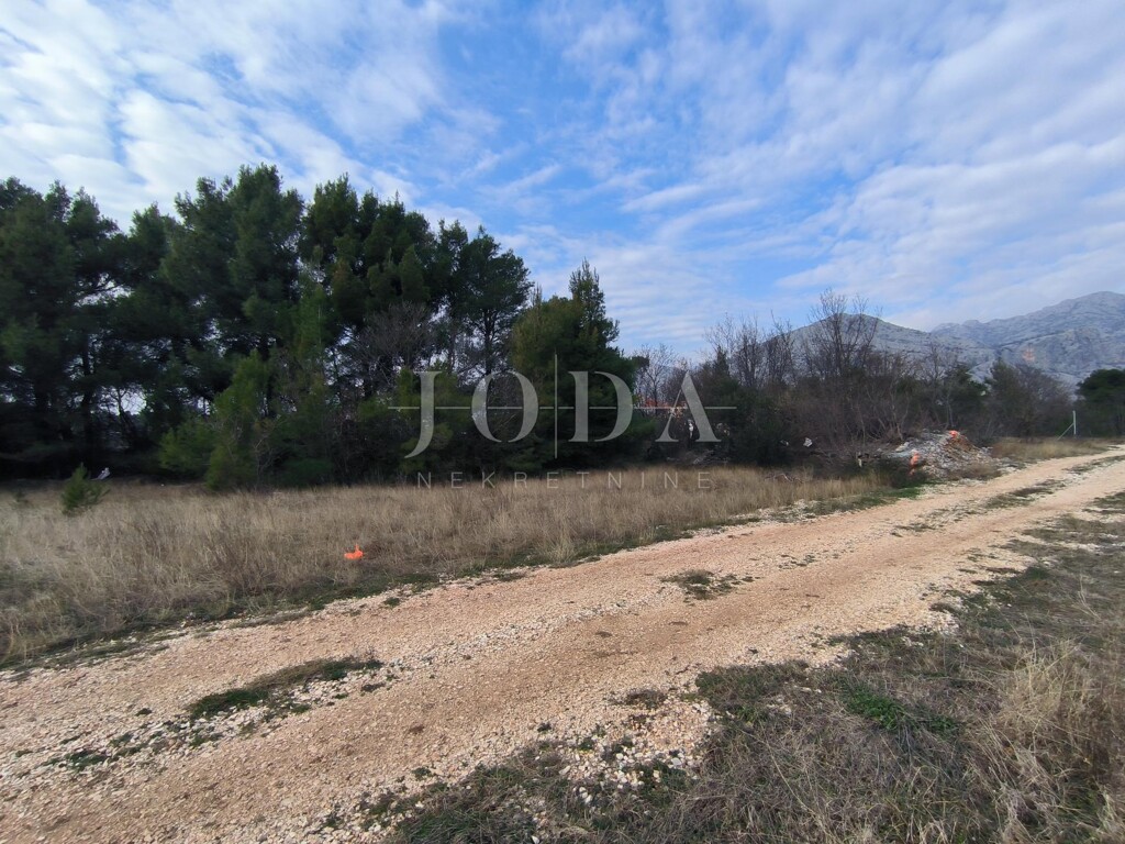 Image 6228801 - 2