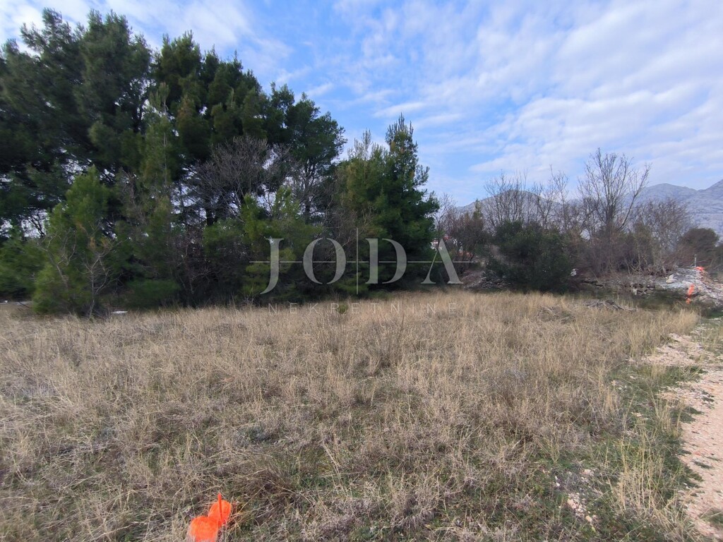 Image 6228801 - 3