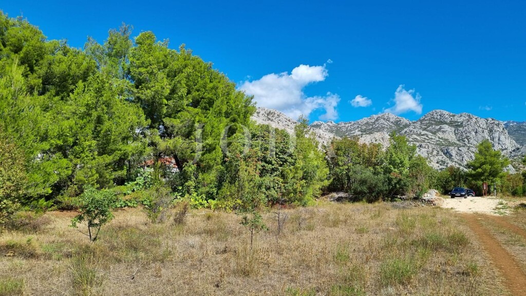Image 6228801 - 8