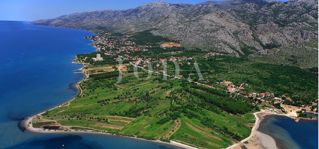 Image 6228801 - 1