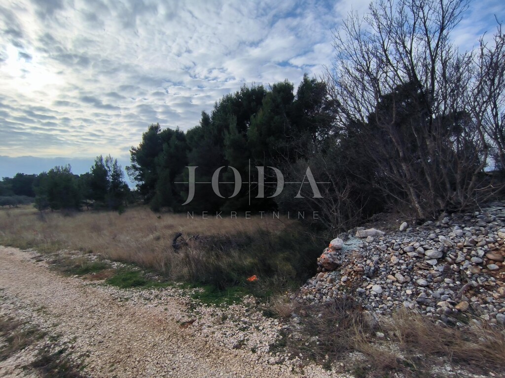 Image 6228801 - 6