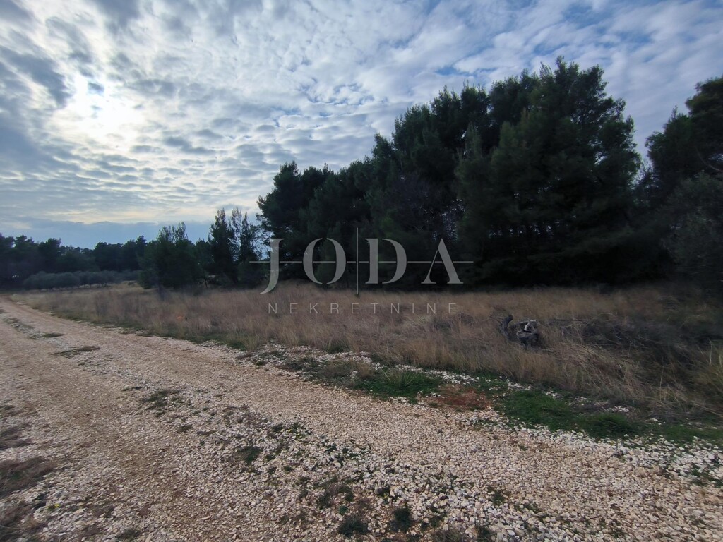 Image 6228801 - 5