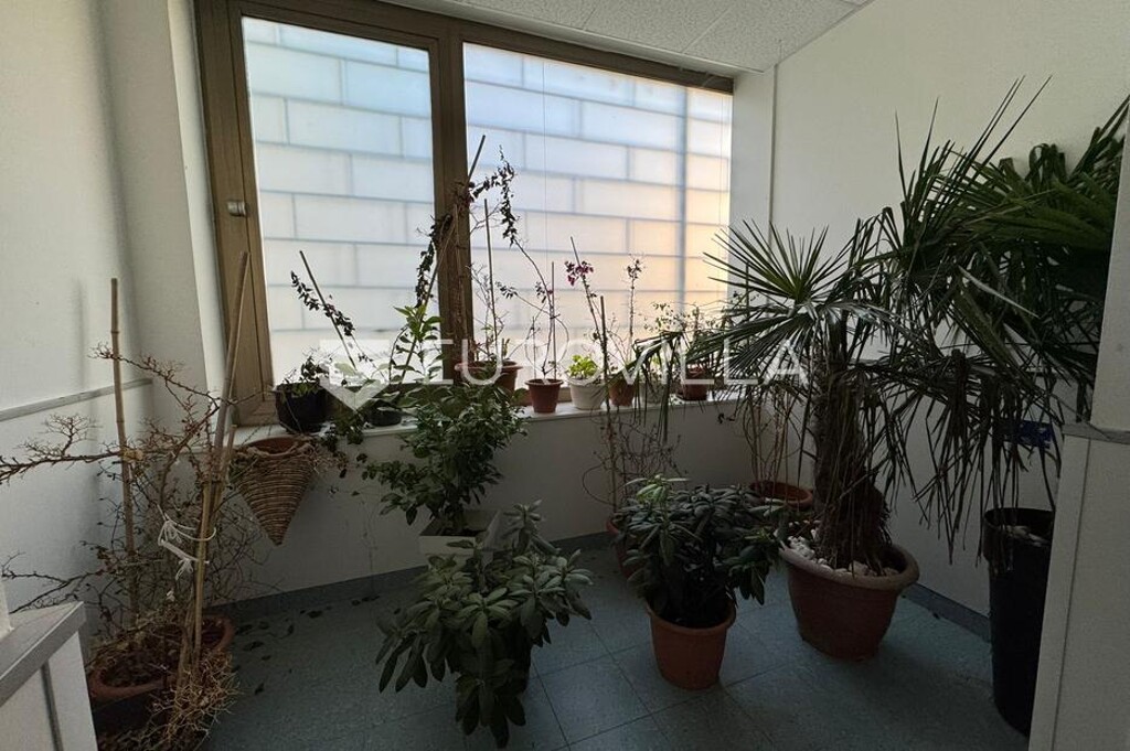 Image 6228815 - 9