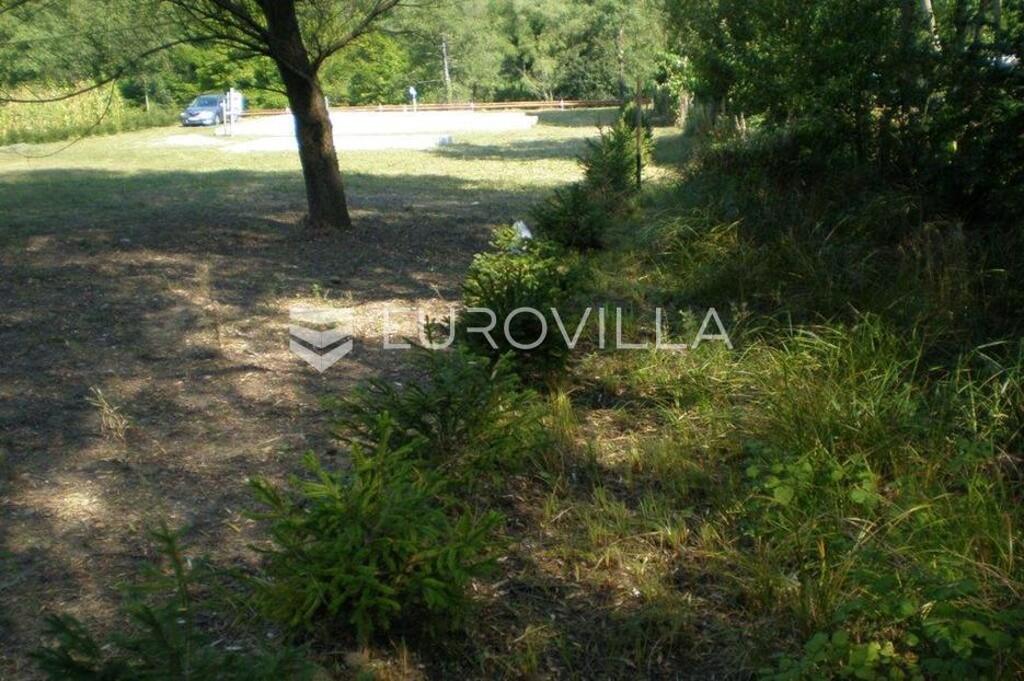 Image 6228818 - 3