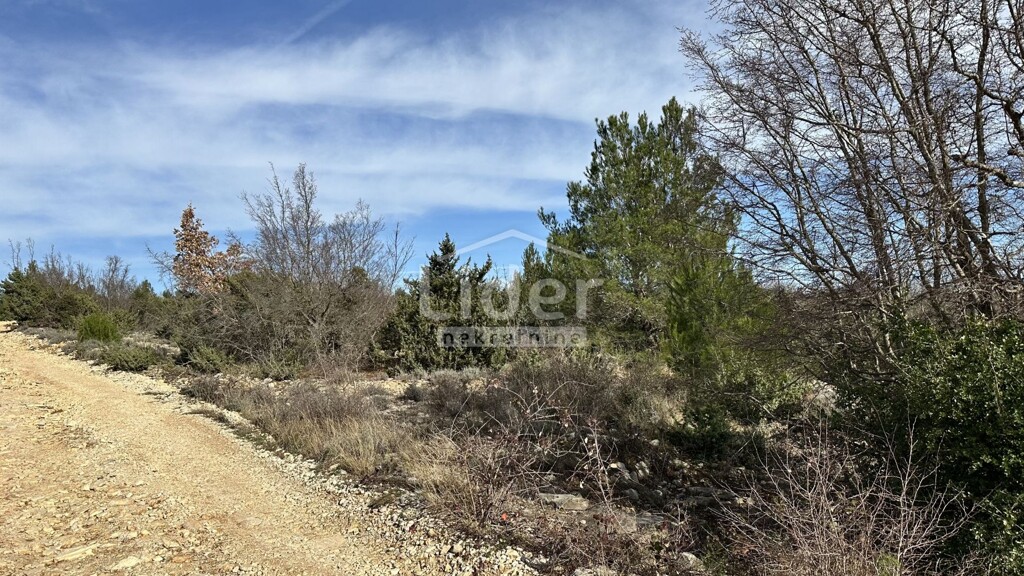 Image 6228825 - 8