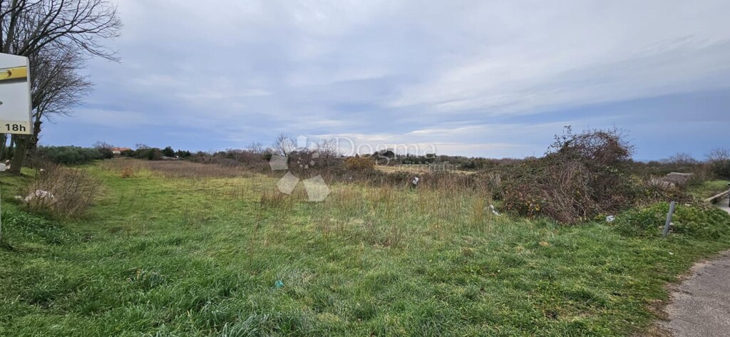 Image 6228847 - 4