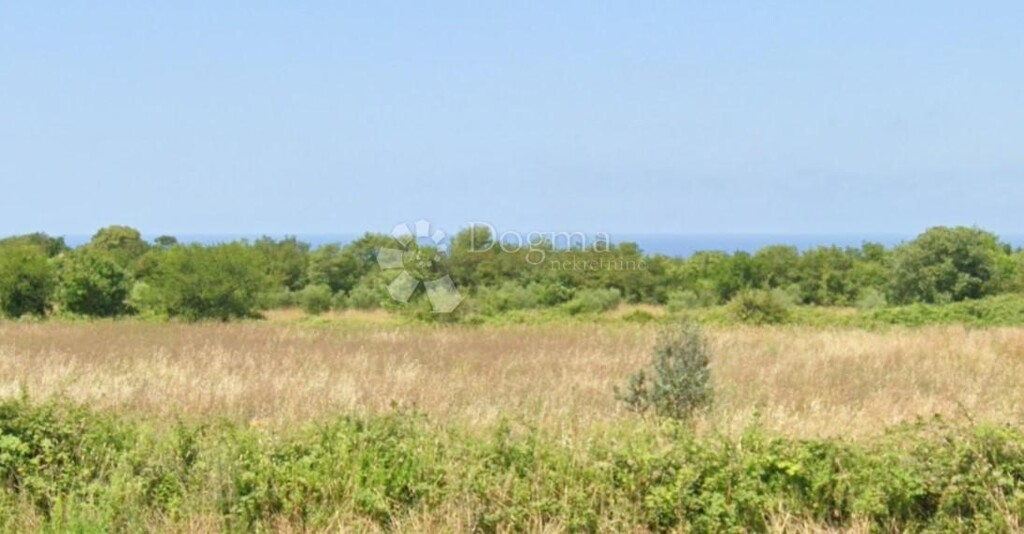 Image 6228847 - 1