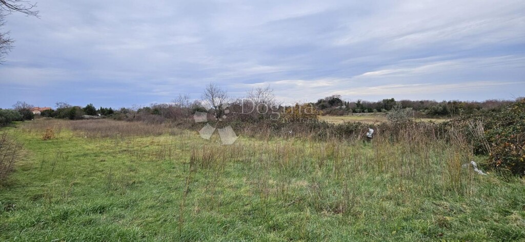 Image 6228847 - 3