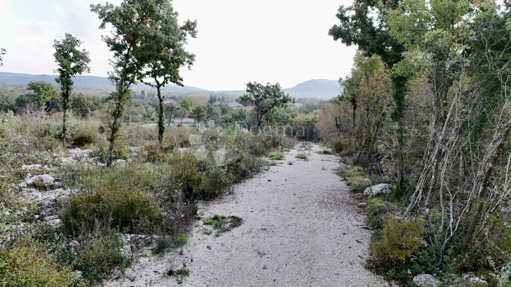 Image 6228850 - 5