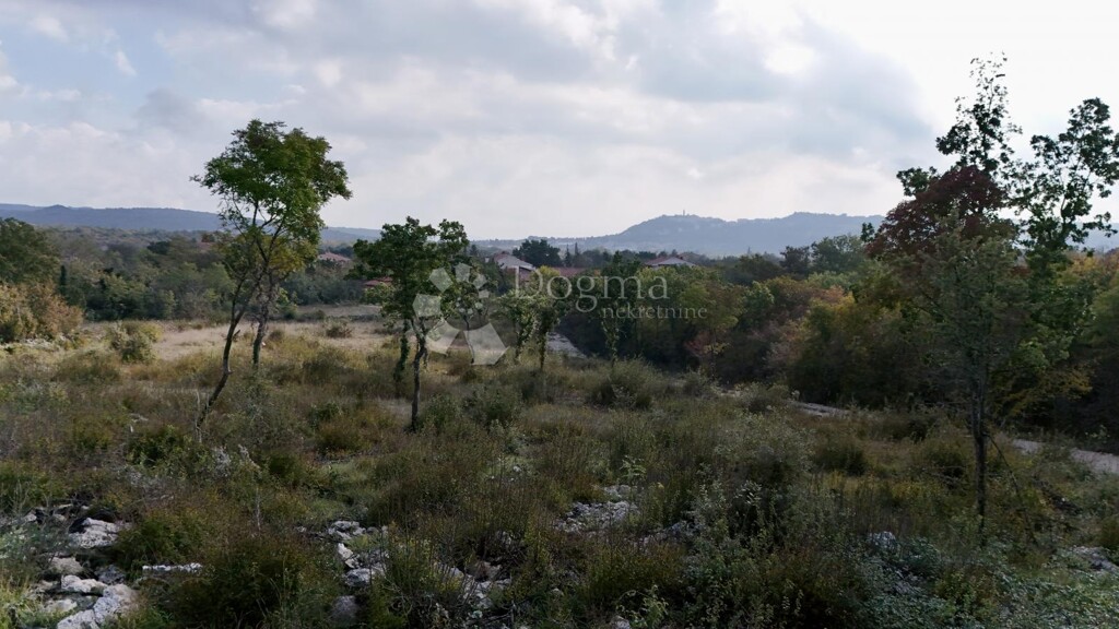 Image 6228850 - 4