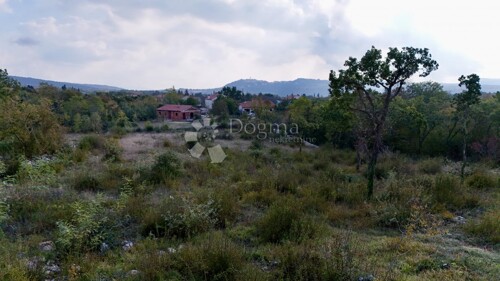 Thumbnail 6228850 - 3