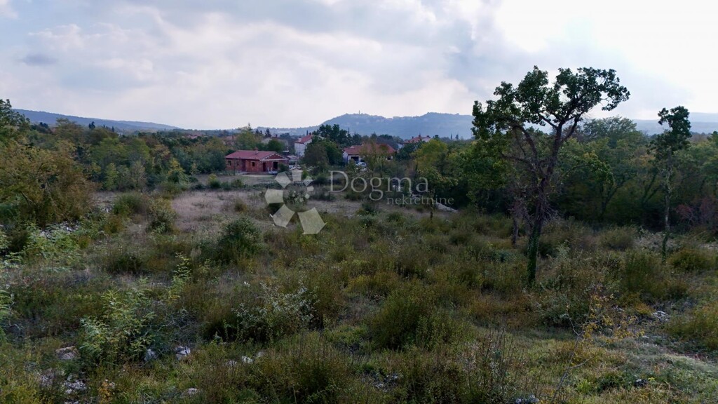 Image 6228850 - 3