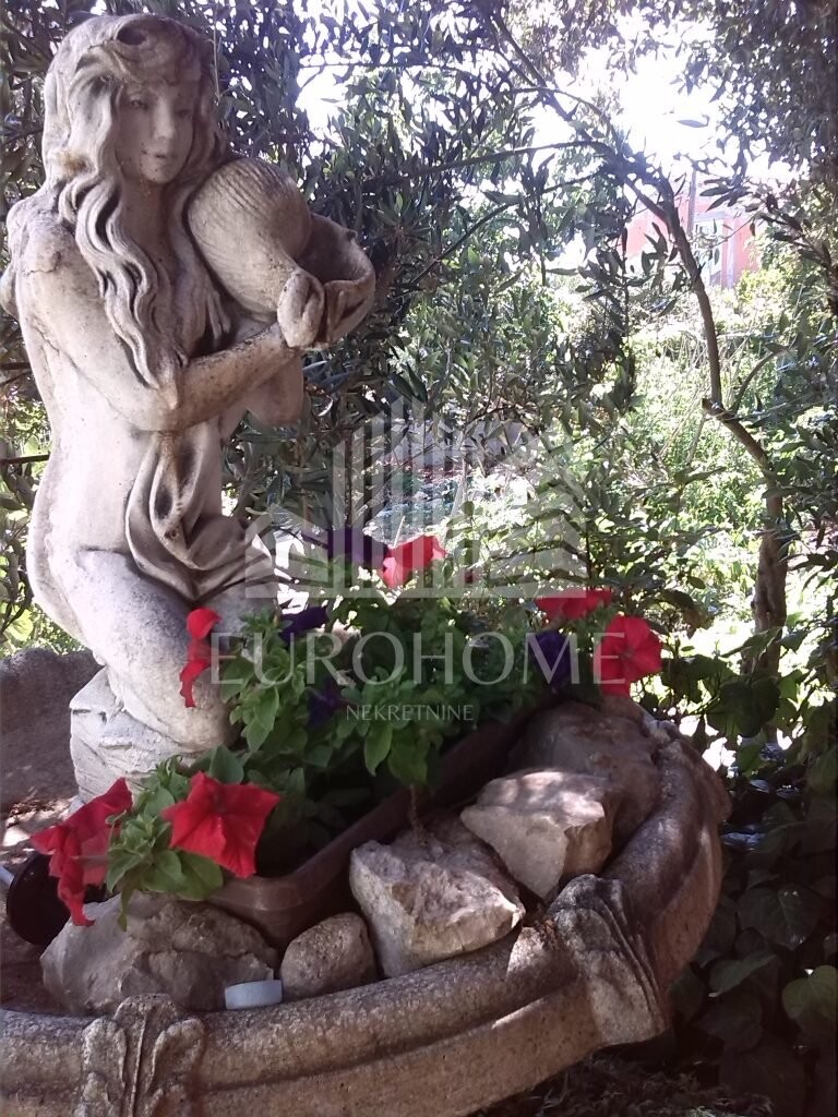 Image 6228885 - 13