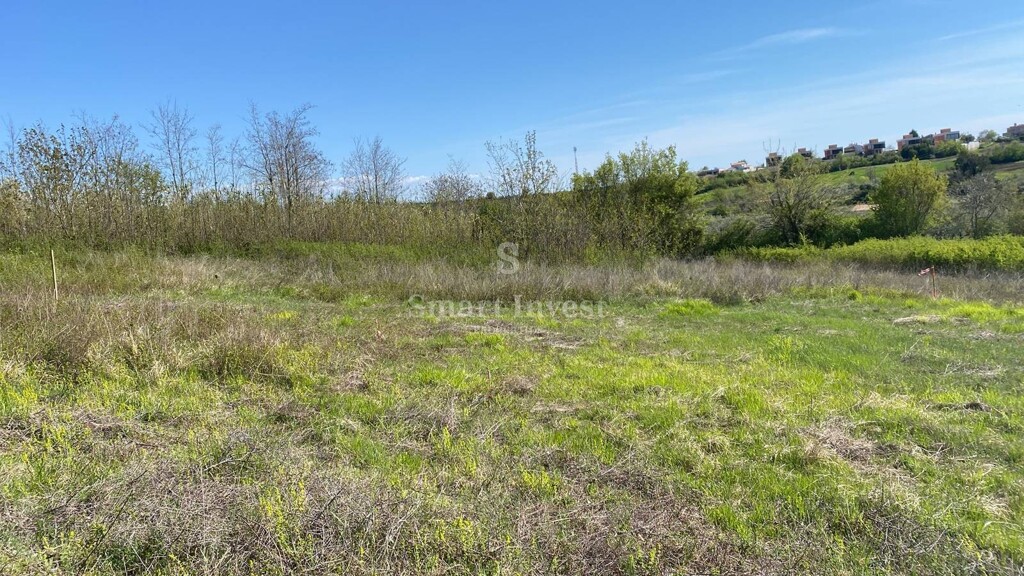 Image 6229050 - 8
