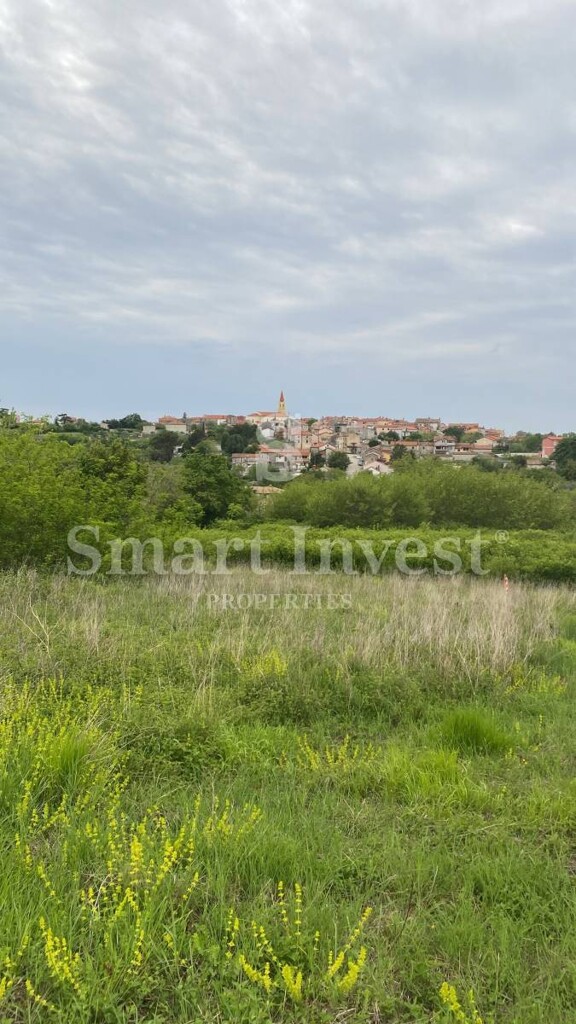 Image 6229050 - 7