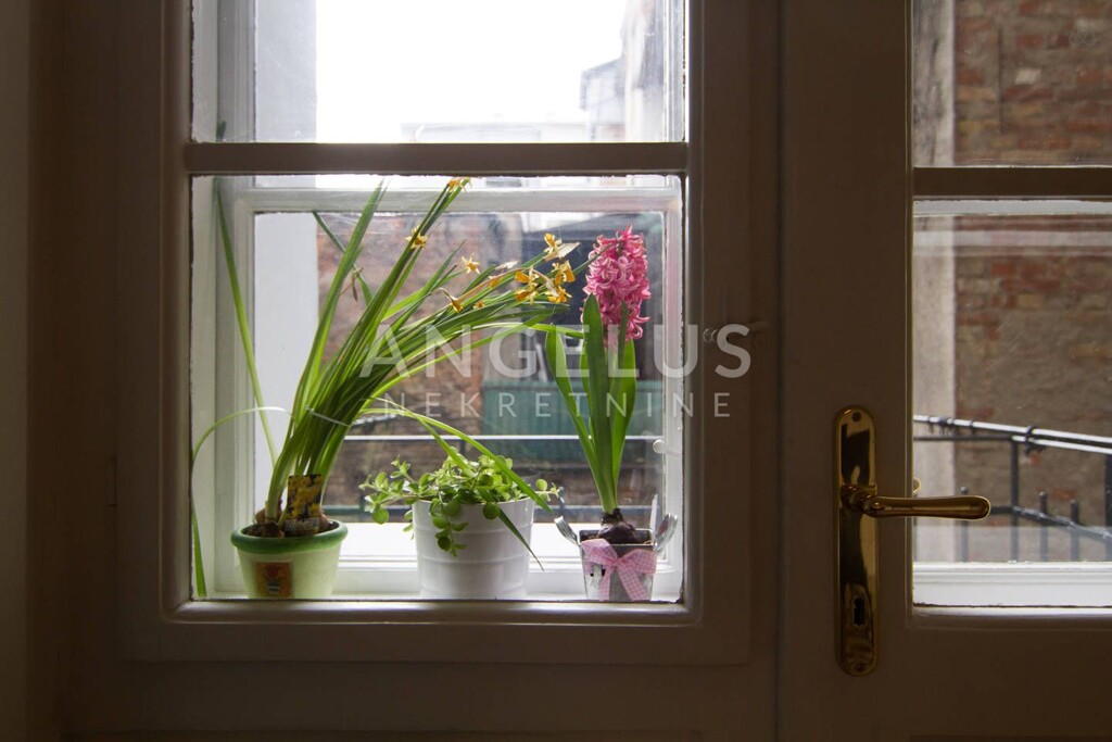 Image 6229121 - 13