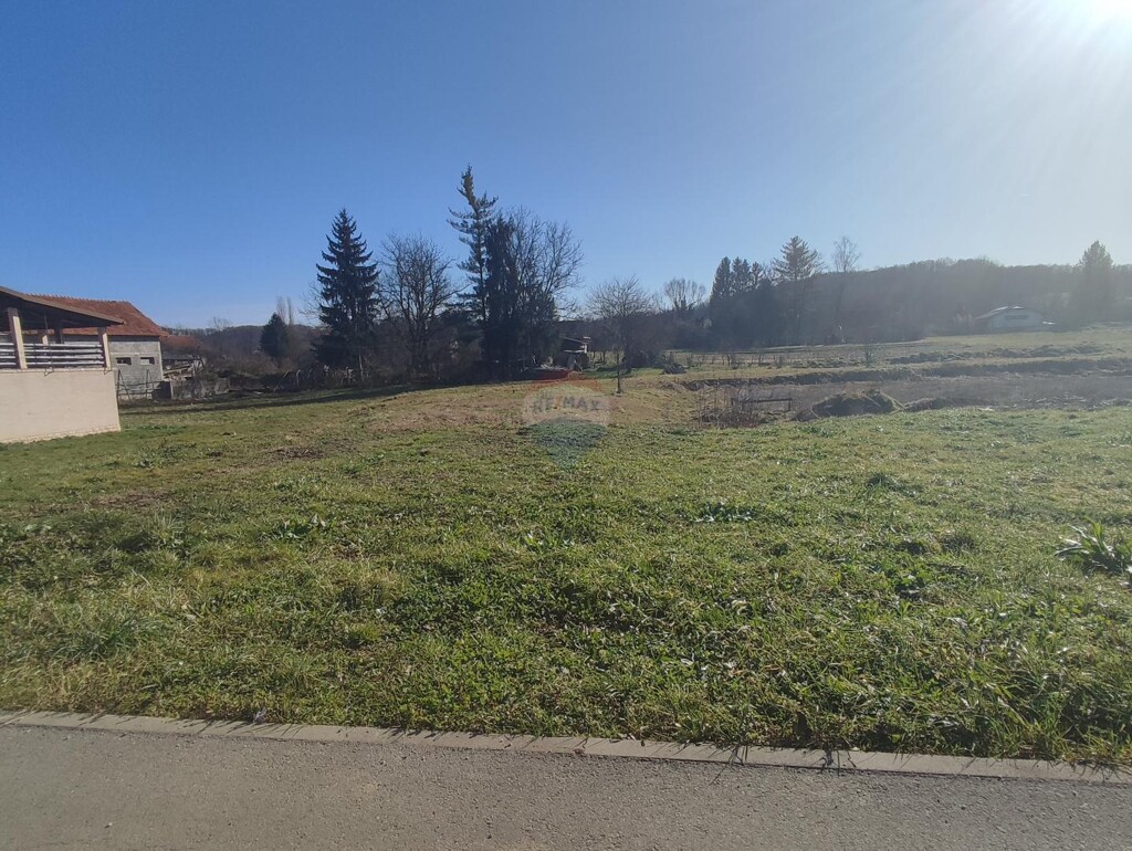 Image 6229155 - 1