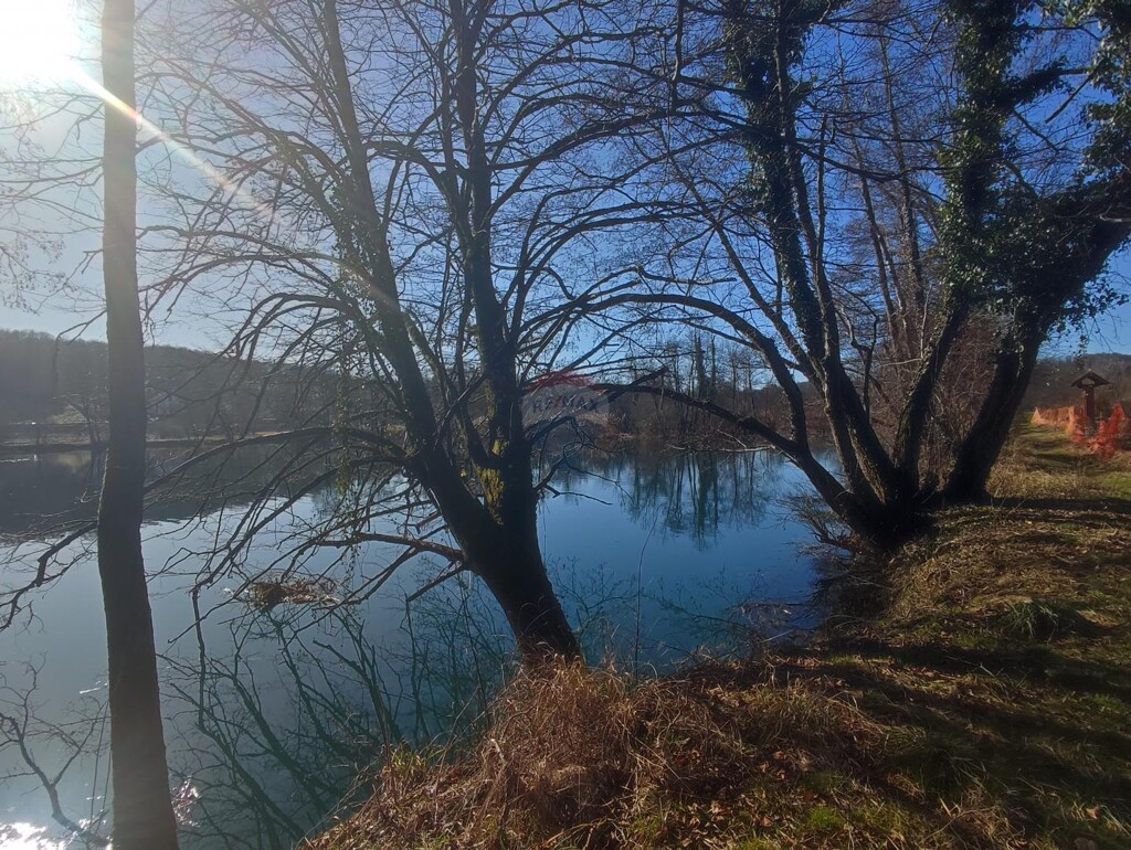 Image 6229155 - 2