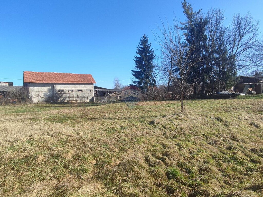 Image 6229155 - 4
