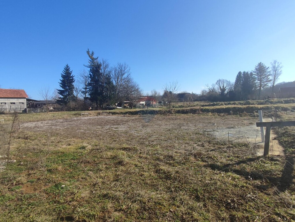 Image 6229156 - 3