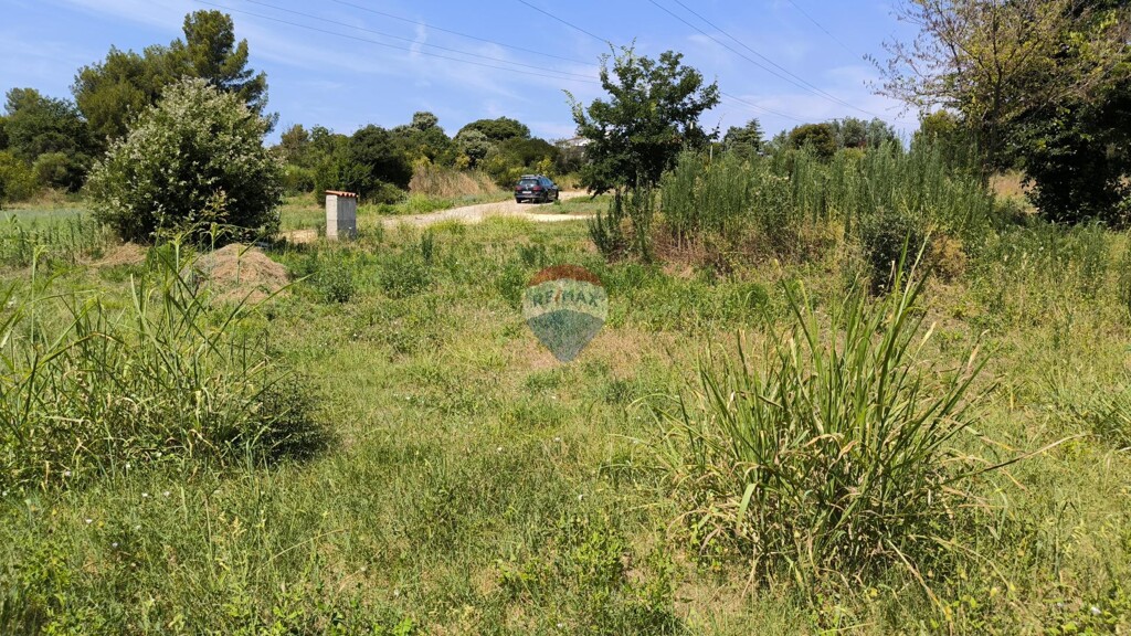 Image 6229161 - 3