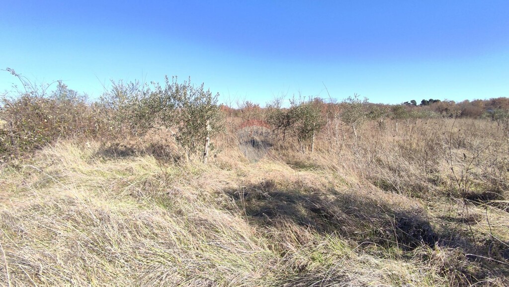 Image 6229162 - 4