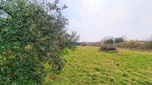 Thumbnail 6229169 - 3