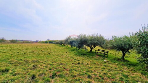 Thumbnail 6229169 - 5