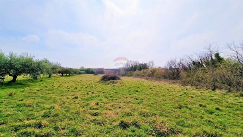 Thumbnail 6229169 - 2