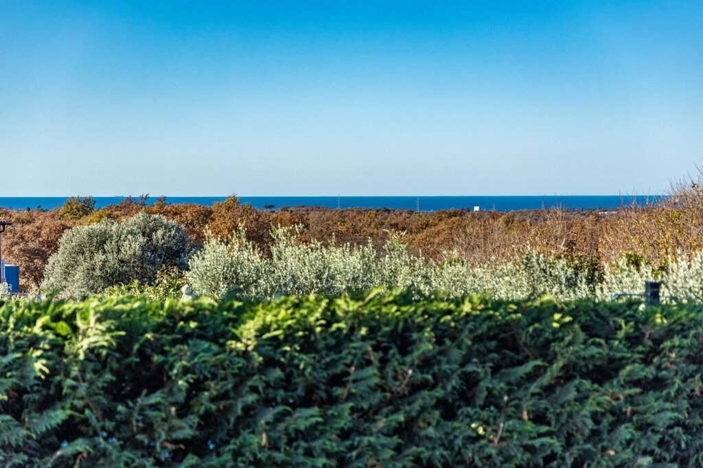 Image 6229185 - 9