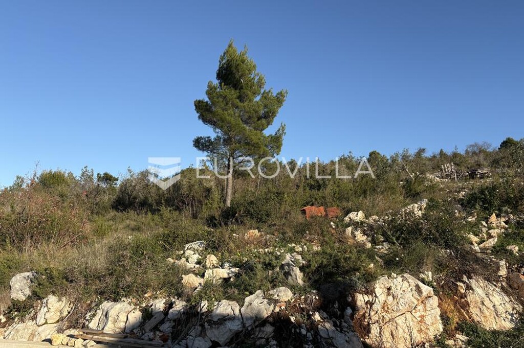Image 6229547 - 4