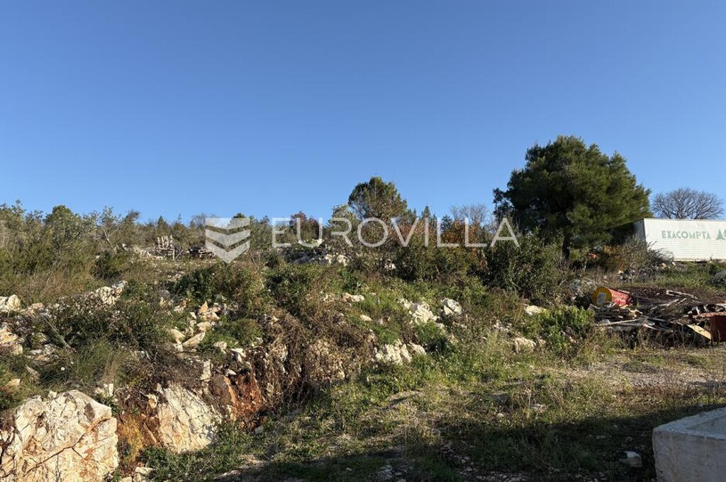 Image 6229547 - 5