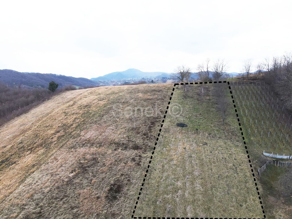 Image 6229628 - 9