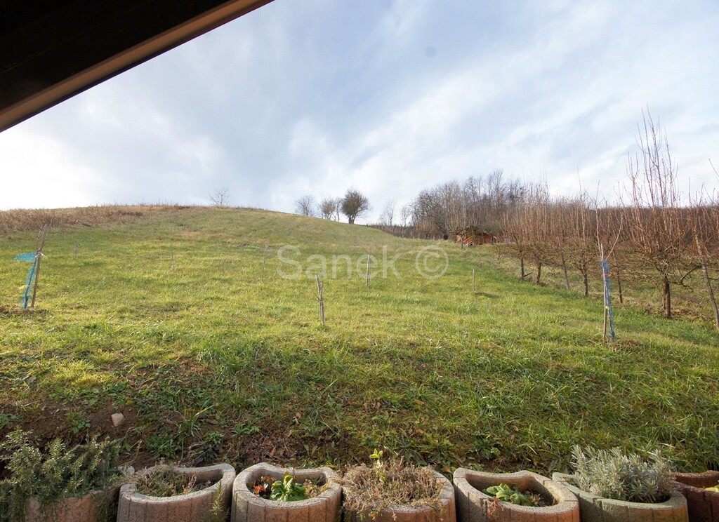 Image 6229628 - 8
