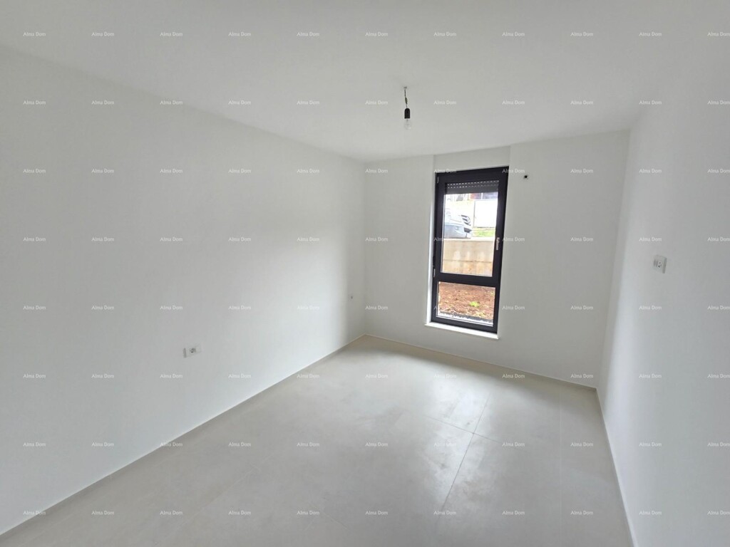 Image 6229656 - 3