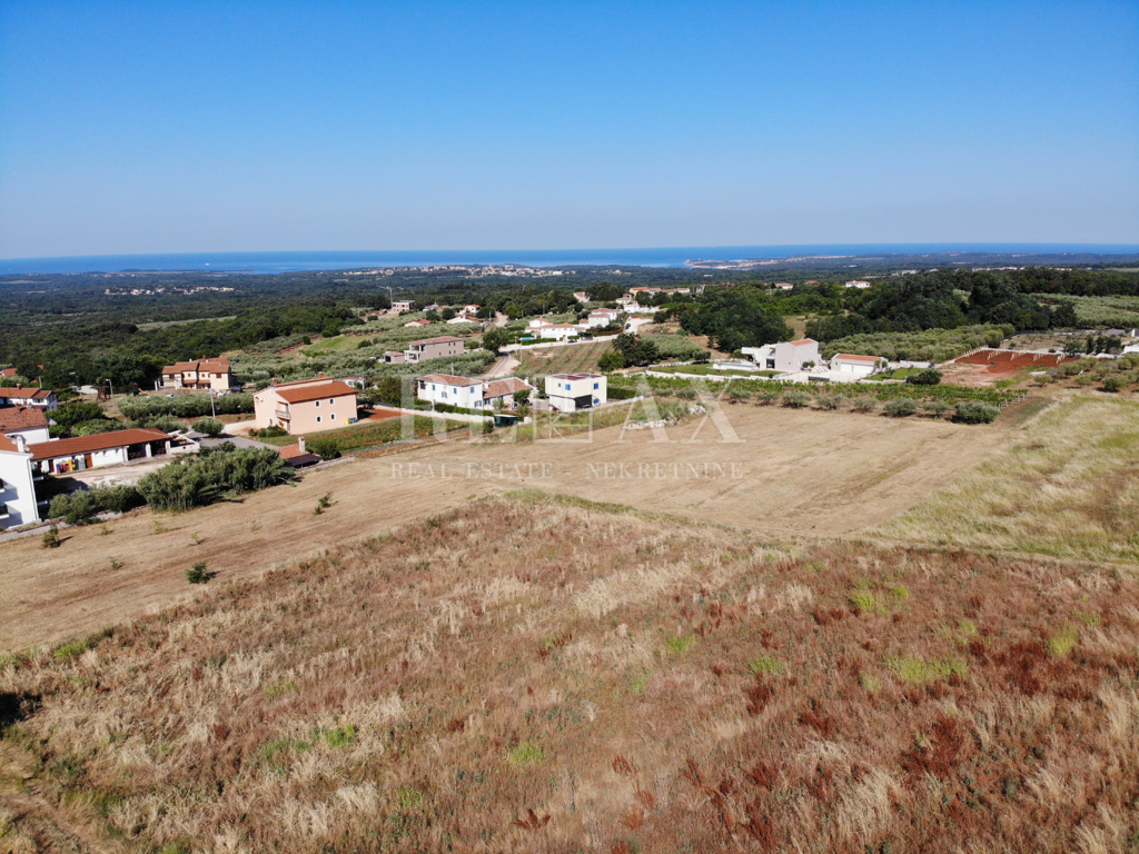 Image 6229715 - 2