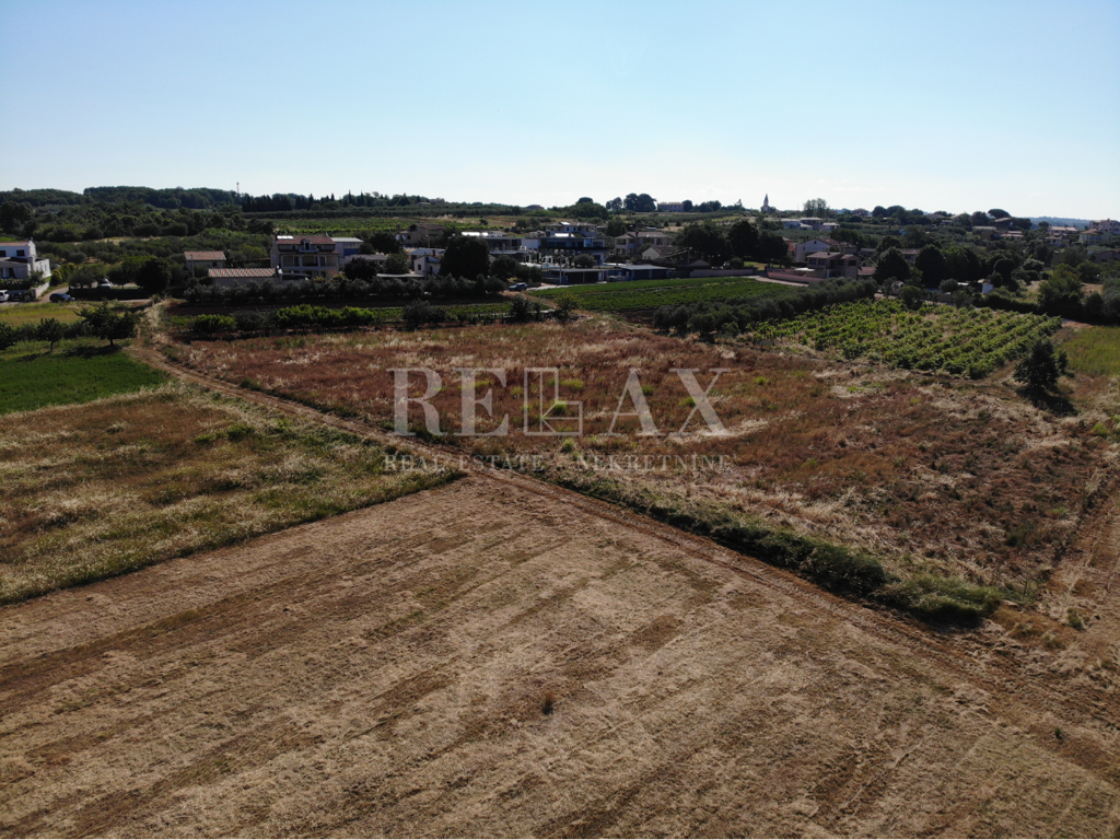 Image 6229716 - 2