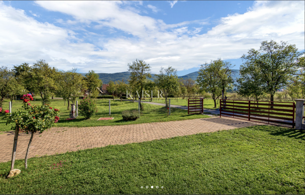 Image 6229750 - 18