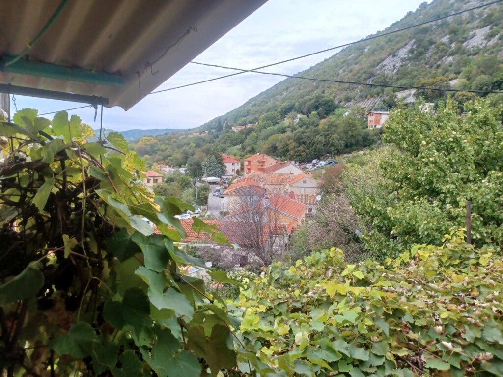 Image 6229781 - 15