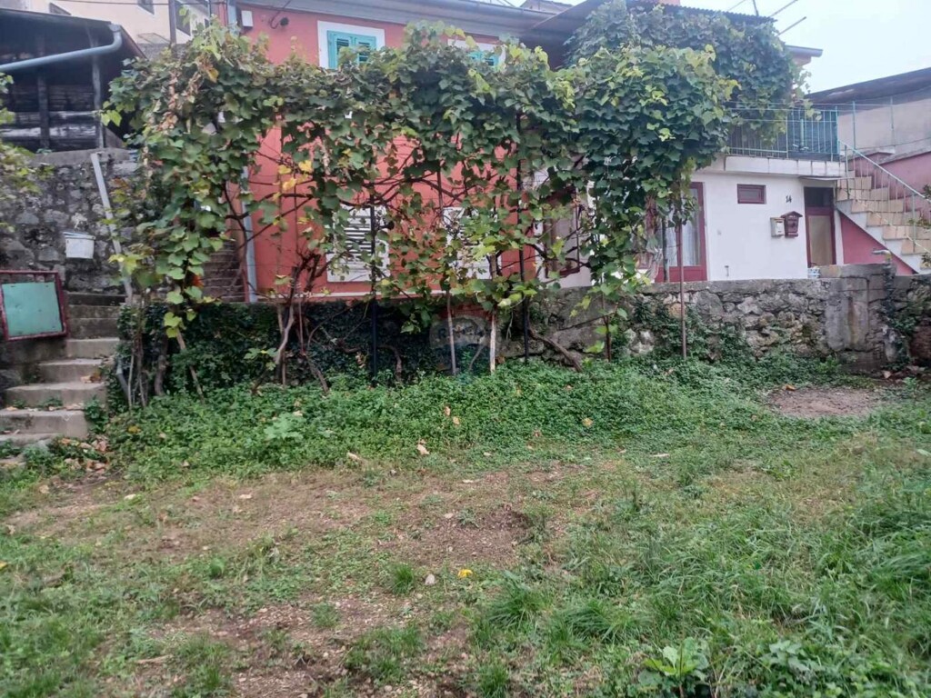 Image 6229781 - 14