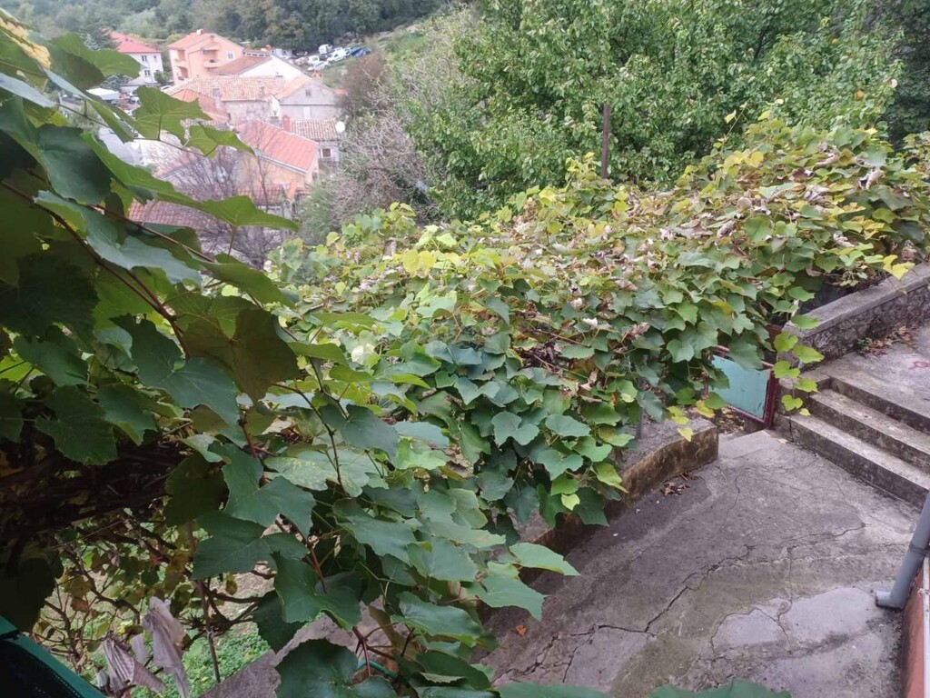 Image 6229781 - 16