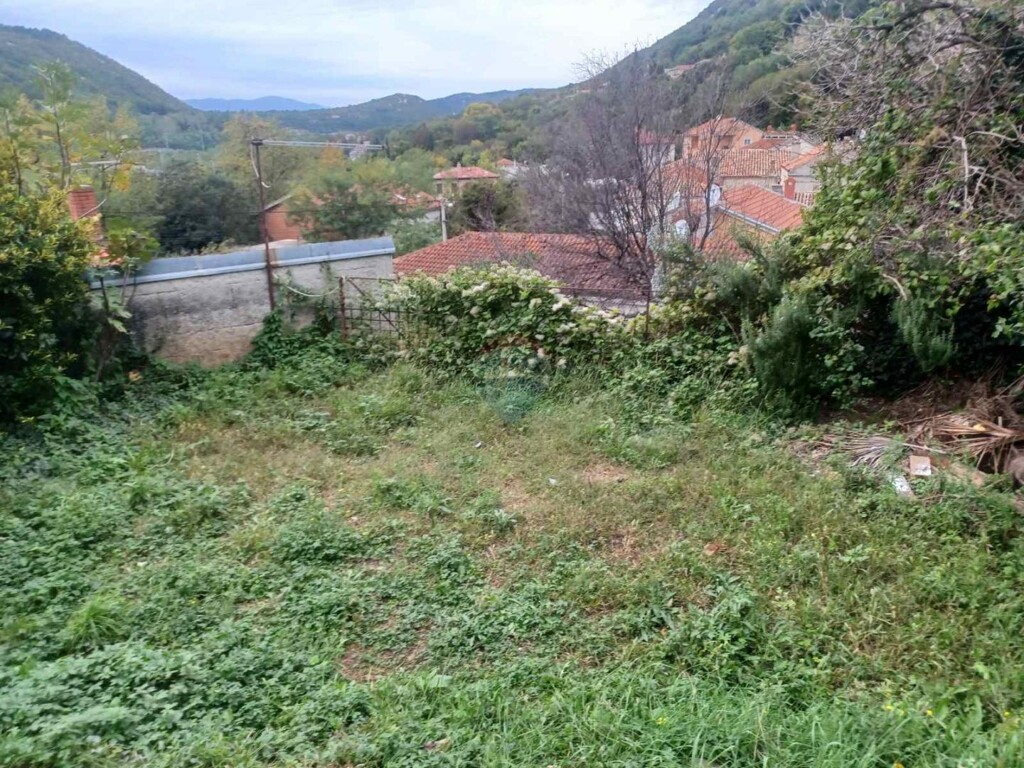 Image 6229781 - 17