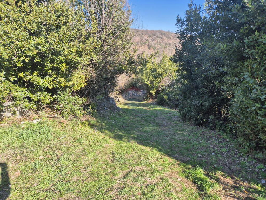 Image 6229782 - 6