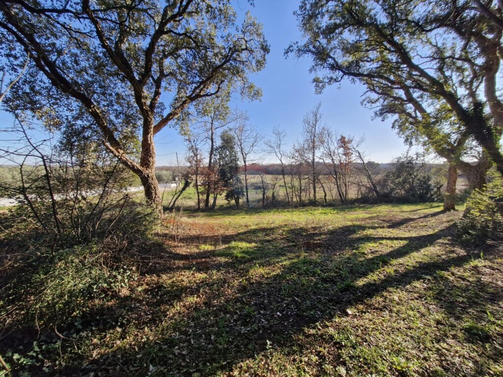 Image 6229796 - 2