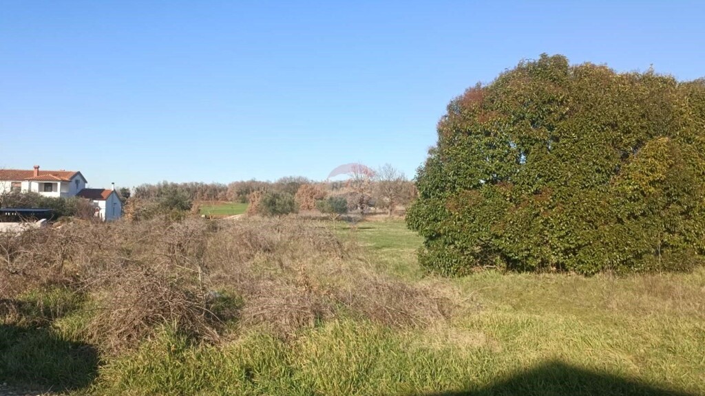 Image 6229798 - 3