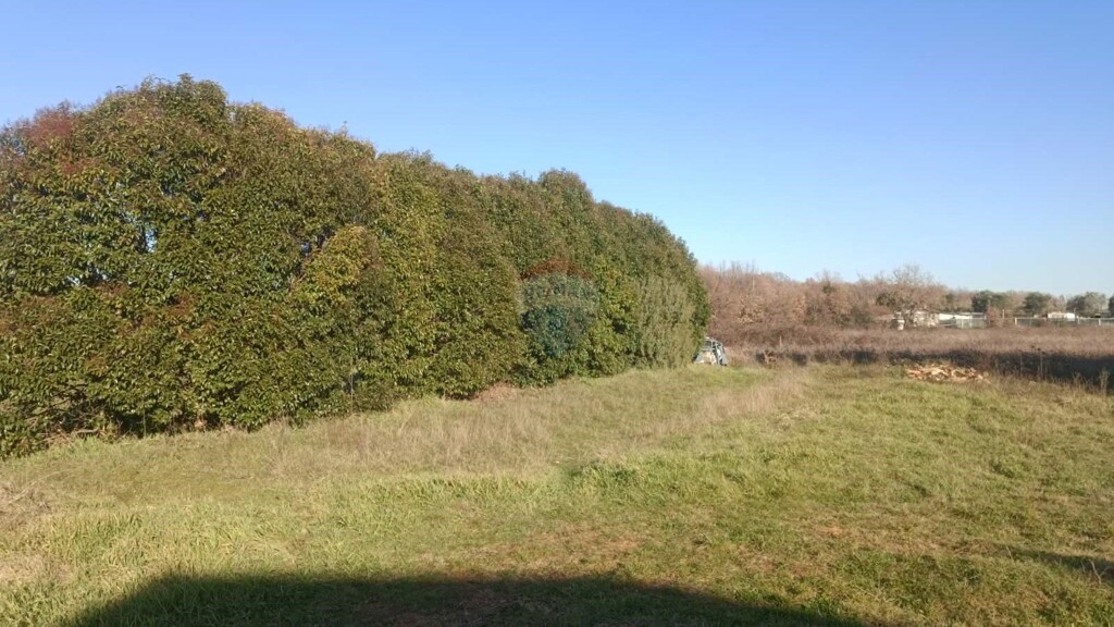 Image 6229798 - 2